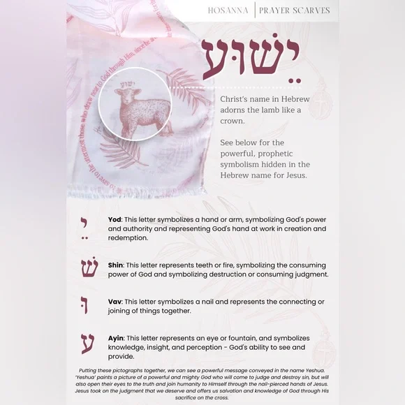 Hosanna Light Pink Prayer Scarf NWOT - Picture 5 of 5